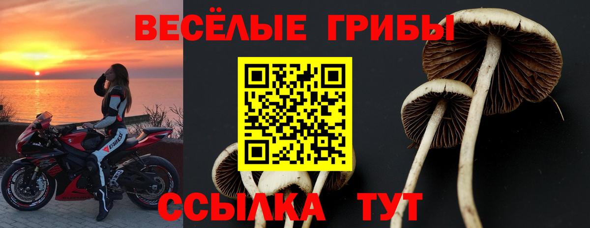 Псилоцибиновые грибы ЛСД Южноуральск
