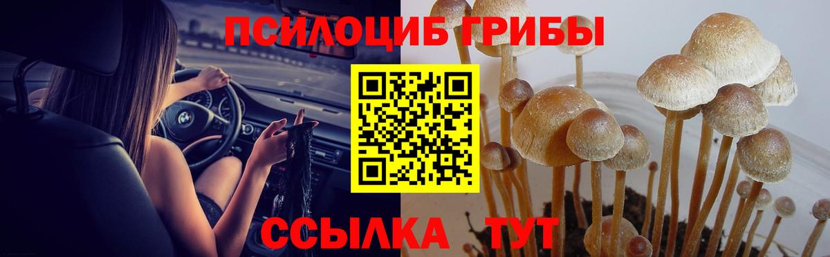 Южноуральск  Псилоцибиновые грибы GOLDEN TEACHER  Вход с VPN 